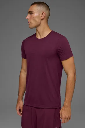 Alo | Triumph T-Shirt in Burgundy Red, Size: Small
