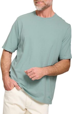 Tommy Bahama Kauai Keys Cotton T-Shirt in Dark Alpine at Nordstrom, Size 3Xlt