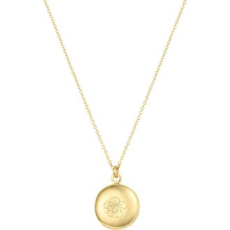 Set & Stones Ruby Birth Flower Necklace in Gold /February at Nordstrom