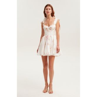Milla Fitted Bodice A-Line Floral Mini Dress for Cocktail Events in Peony at Nordstrom, Size 10