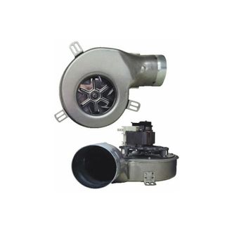 DIFF Eyewear Extractor De 46 W G2e152