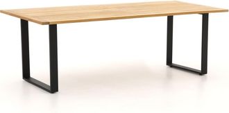 Apple Bee Condor dining tuintafel 240x95x75cm