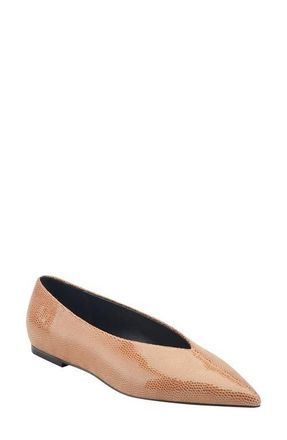 Marc Fisher Casee Pointed Toe Flat in Natural at Nordstrom, Size 6.5