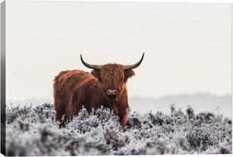 iCanvas Icanvas Highlander By Jaap Van Den Wall Art