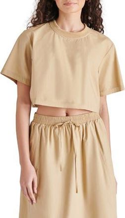 Steve Madden Sunny Crop Top in Khaki at Nordstrom Rack, Size X-Large