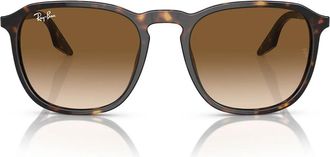 Ray-Ban Sunglasses Rb2203 902/51 Brown/Light Brown Unisex