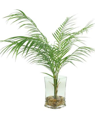 Creative Displays Inc. Areca Palm In Vase With Rocks & Acrylic Water
