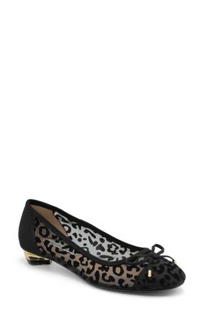 Charles by Charles David Maize Mesh Ballet Flat in Black at Nordstrom, Size 11