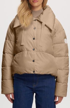 Noize Crop Puffer Jacket in Desert at Nordstrom, Size X-Large