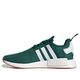 adidas NMD_R1 Collegiate Green FX6788