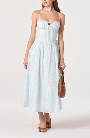 ASTR the Label Aubrey Embroidered Sleeveless Maxi Dress in Powder Blue at Nordstrom, Size X-Small