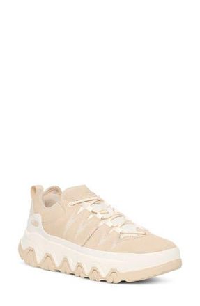 UGG CapTrail Low Sneaker in Lhb at Nordstrom Rack, Size 8