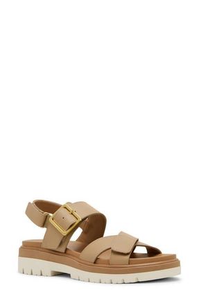Blondo Beau Sandal in Almond Leather at Nordstrom, Size 7.5