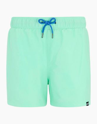 Regatta Mens Regatta Mens Mawson II Swim Shorts - Ice Green Sonic Blue - Size: 33/32/32