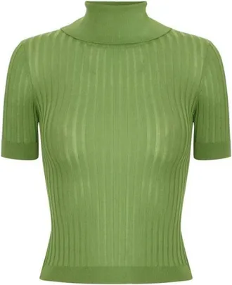 Elisabetta Franchi Truien & Vesten, Dames, Groen, L, Polyester, Sheer Knit Top