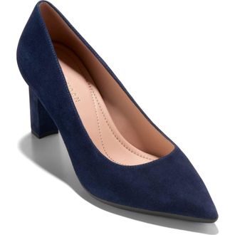 Cole Haan Grand Ambition Angelica Pointed Toe Pump in Midnight Moon Suede at Nordstrom Rack, Size 10