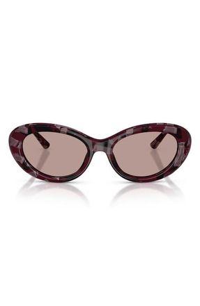 Dolce & Gabbana 54mm Oval Sunglasses in Pearl Havana Purple /Brown at Nordstrom