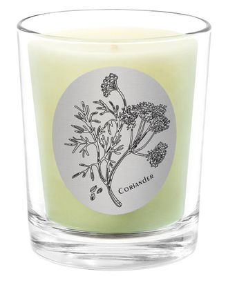 Qualitas Coriander 6.5Oz Beeswax Candle