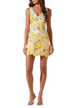 ASTR the Label Aisha Floral Appliqu&eacute; Sleeveless Minidress in Yellow Floral at Nordstrom Rack, Size Small