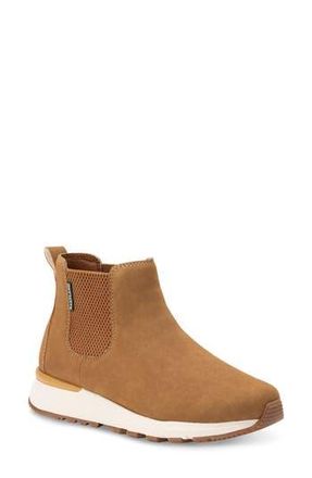 Eastland Woodford Chelsea Boot in Khaki at Nordstrom Rack, Size 8.5
