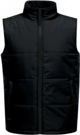 Regatta Standout Access Insulated Bodywarmer in Black And Black at Nordstrom, Size Xxx-Large