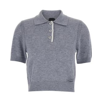 Pinko Pinko, Dames, Truien, Grijs, Maat: M Wol