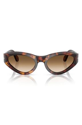 Persol 53mm Polarized Butterfly Sunglasses in Havana at Nordstrom
