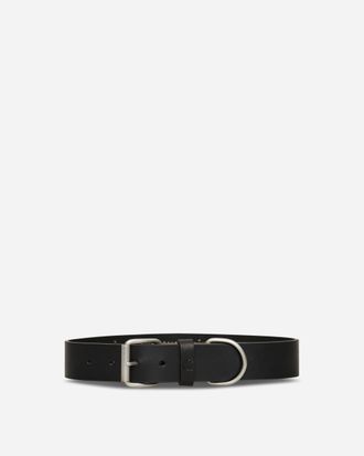 Carhartt Work in Progress Script Studs Dog Collar Black
