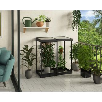 Canopia by Palram Canopia By Palram - Canopia Ivy Mini Invernadero 1.3 X 0.6 M Negro