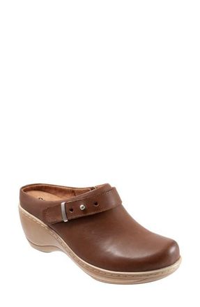 Softwalk Marquette Clog in Saddle Leather at Nordstrom, Size 7.5