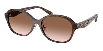 Coach HC8445D CBY85 Asian Fit 512013 Womens Sunglasses Tortoiseshell Size 56