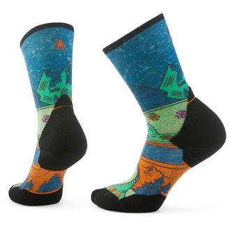 Smartwool Trail Run Targtd Cush. Mountain Crew Socks Laufsocken f&uuml;r Damen | bunt