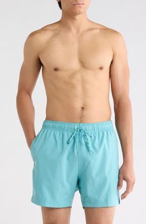 Speedo Volley Swim Trunks in Porcelain at Nordstrom Rack, Size Xx-Large