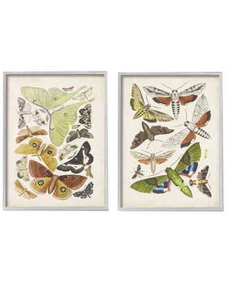 Stupell Industries Vintage Moths Latin Studies By World Art Group Wall Art