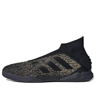 adidas Predator 19+ TR Oddity Pack Black F37009