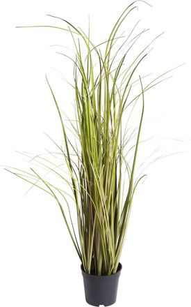 Botanic-Haus Kunstgras