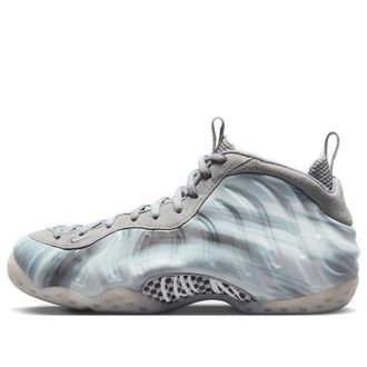 Nike Air Foamposite One Dream A World Grey DM0115-001