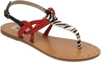 Mia Tazara Slingback Sandal in Zebra/Red/ at Nordstrom, Size 8.5