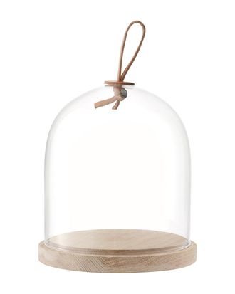 LSA Ivalo Dome and Ash Base