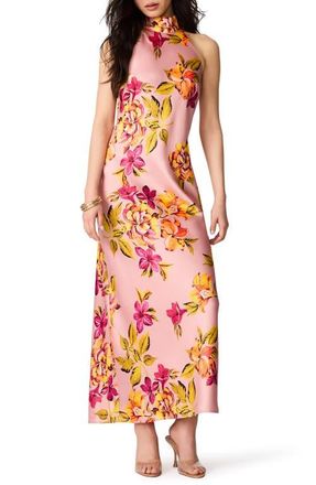 Steve Madden Lara Floral Halter Neck Midi Dress in Tropical Breeze at Nordstrom, Size X-Large