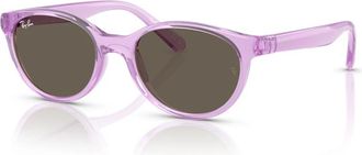 Ray-Ban Ovale Zonnebril - unisex - Zonnebrillen - Paars - 45 MM - Accessoires