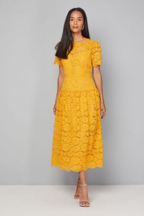Wallis Womens Lace Button Detail Drop Hem Midi Dress - Mustard Polyamide - Size 16 UK