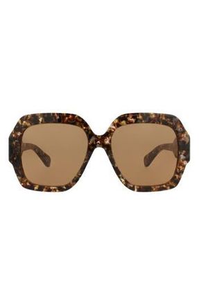 Chlo&eacute; 56mm Square Sunglasses in Havana Havana Brown at Nordstrom Rack
