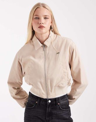 Lacoste bomber corto lucido beige-Neutro