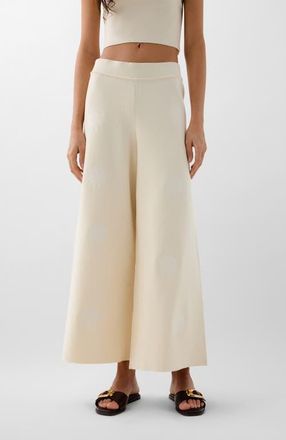 Scalpers Embsun Knit Pant in Ecru at Nordstrom, Size Medium Eu