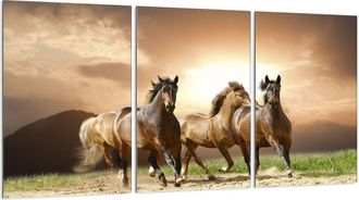 OEM Placa Protectora De Vidrio Para Estufa 3x30x52