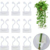 OEM 300 Clips De Soporte Para Plantas Trepadoras, Clips De Pared Para Plantas Trepadoras, Clips Especiales Para Plantas Trepadoras - Blanco - Crezuo