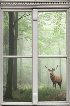 Queence Wandsticker »Hirsch« Wandsticker, Wandbild, selbstklebend, 3D, Fenster