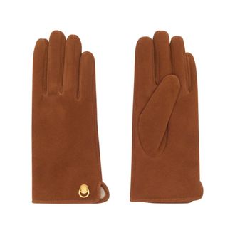 Gianni Chiarini Donna, Accessori, Marrone, S, new