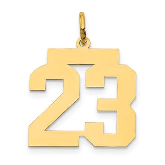 Diamond2Deal 14k Yellow Gold Medium Polished Number 23 Charm Pendant